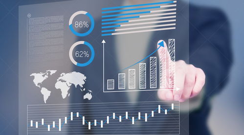 向前金服 背景介绍与信息技术咨询服务分析